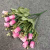 Rose garance