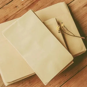 Biodegradable Compostable Padded Express Envelope Kraft Paper Shockproof Mailers Shipping Mailing Bags