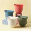 สีขาว