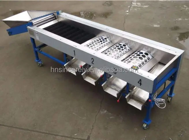 Automatic Drum Type Vegetable and Fruit Classifier 8-10T/h Potato and ...