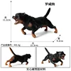Rottweiler ruggente M-702 colorato [0,432 kg]