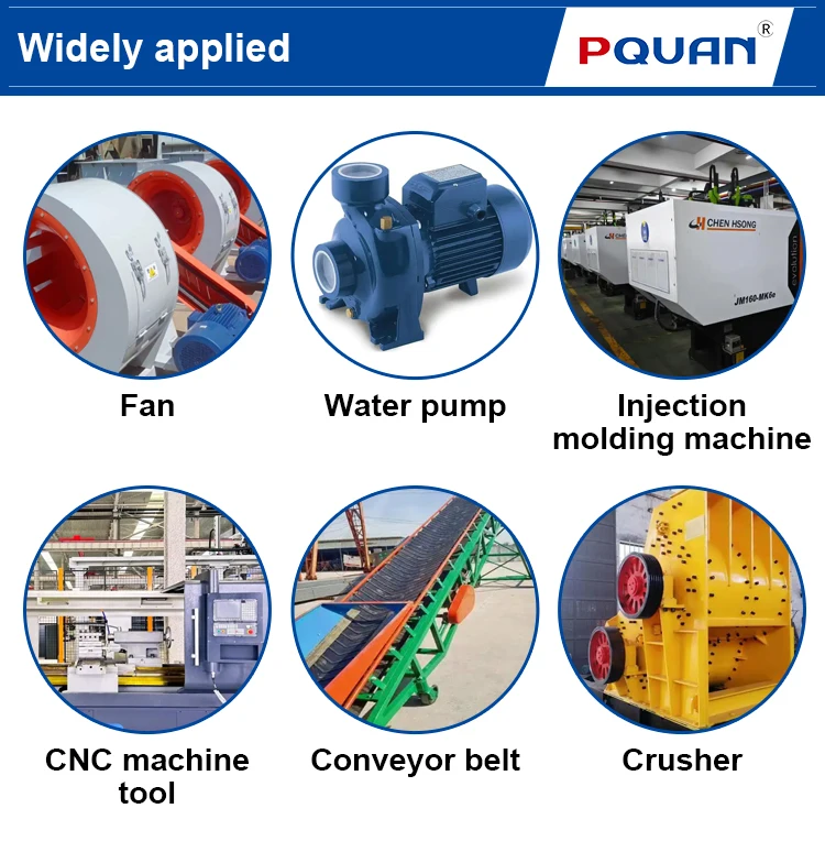 Online Soft Starter Pqzr8-Sz220-T4 Single Phase/Three Phase Versatile Frequency Converter manufacture