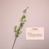 Green (encrypted version)