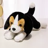 Beagle couché 30cm