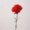 สีแดง