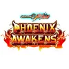 Phoenix Awakens