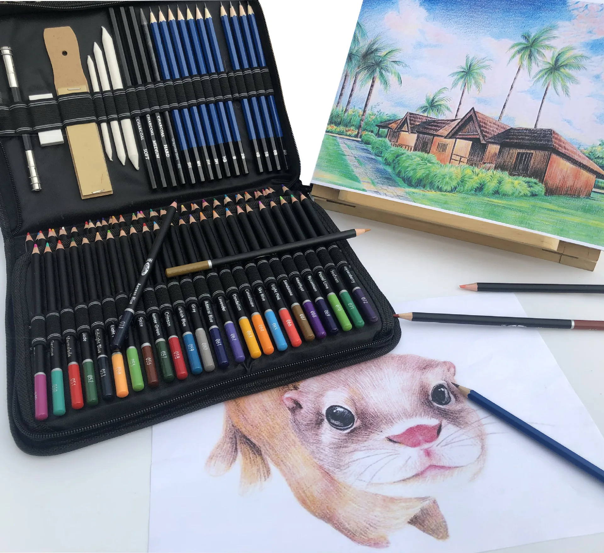 Professional Premium Coloured Pencils Set With Canvas Roll For Artists_voghion.com