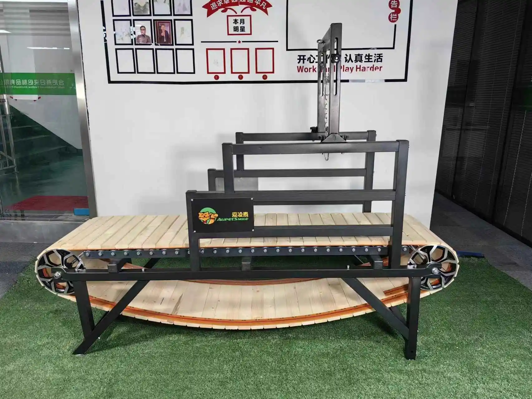 Customized Pet Fitness Solution Advanced Dog Treadmill Extra Large Manual Machine
