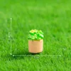 6#Yellow flowerpot