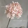 ไฮเดรนเยียฝรั่งเศสเดี่ยว - สีชมพู