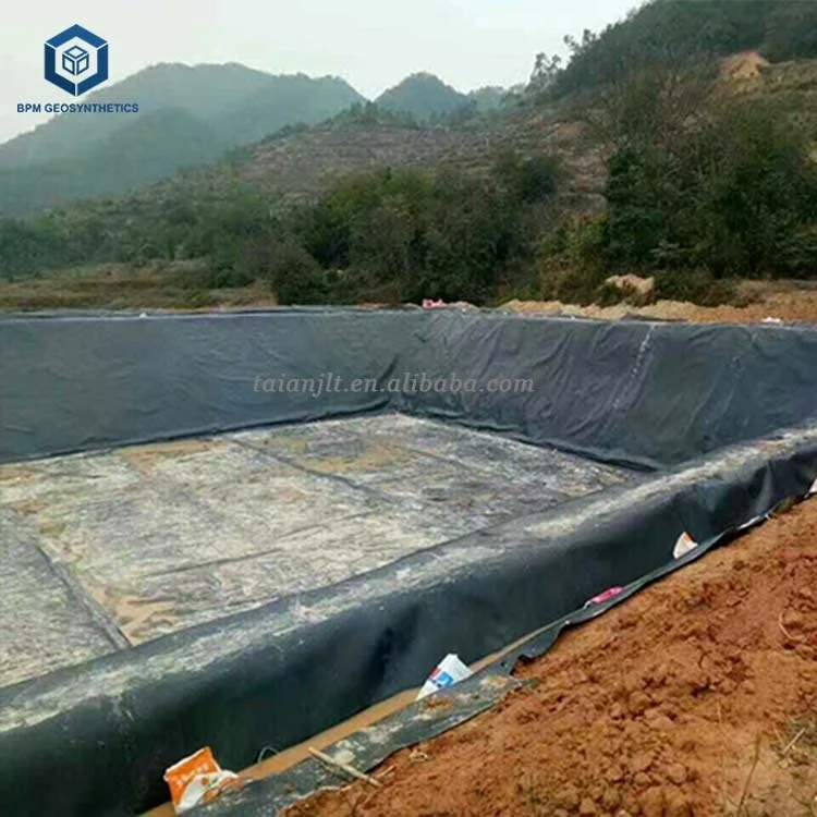 Industrial Design Style HDPE Waterproof Geomembrane Plastics Membrane from Guangdong for Sale
