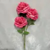 Deep pink