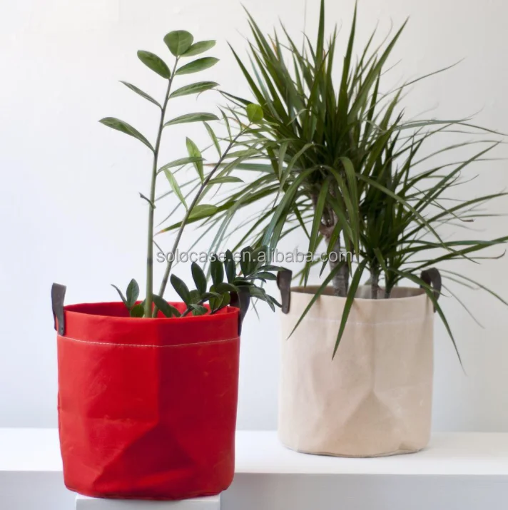 Waxed Canvas Plant Basket