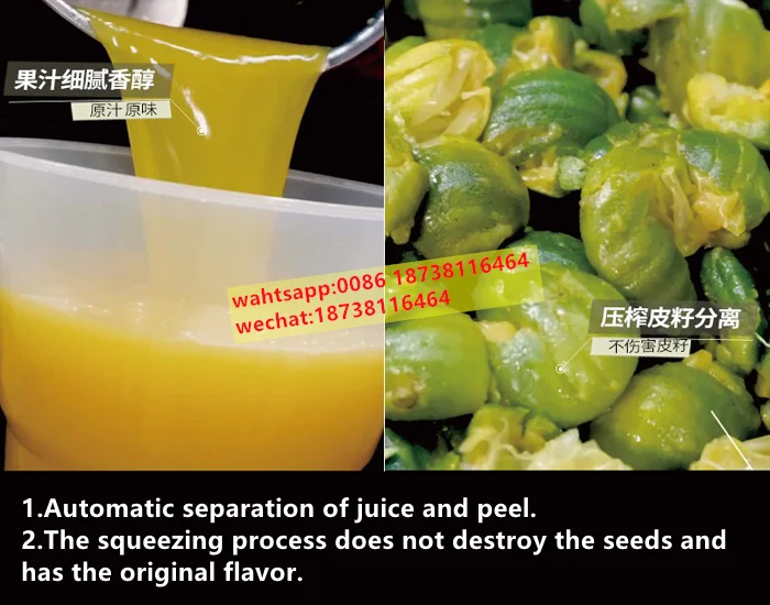 Peel and Seed Separation Lemon Juicer Kumquat Calamansi Orange Squeezer Grapefruit Pomegranate Lime Juice Extruder