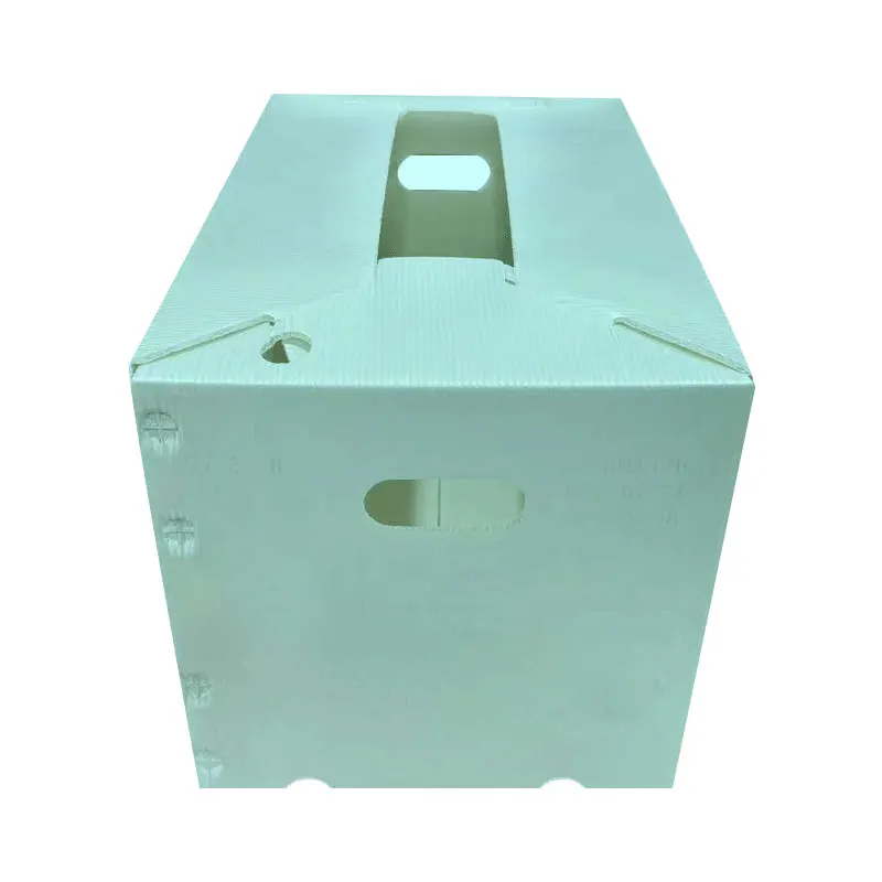 product-1-1
