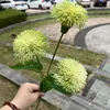 3 teste di crisantemo verde velluto