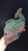 fish 4#
