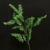[120]Épis de riz vert