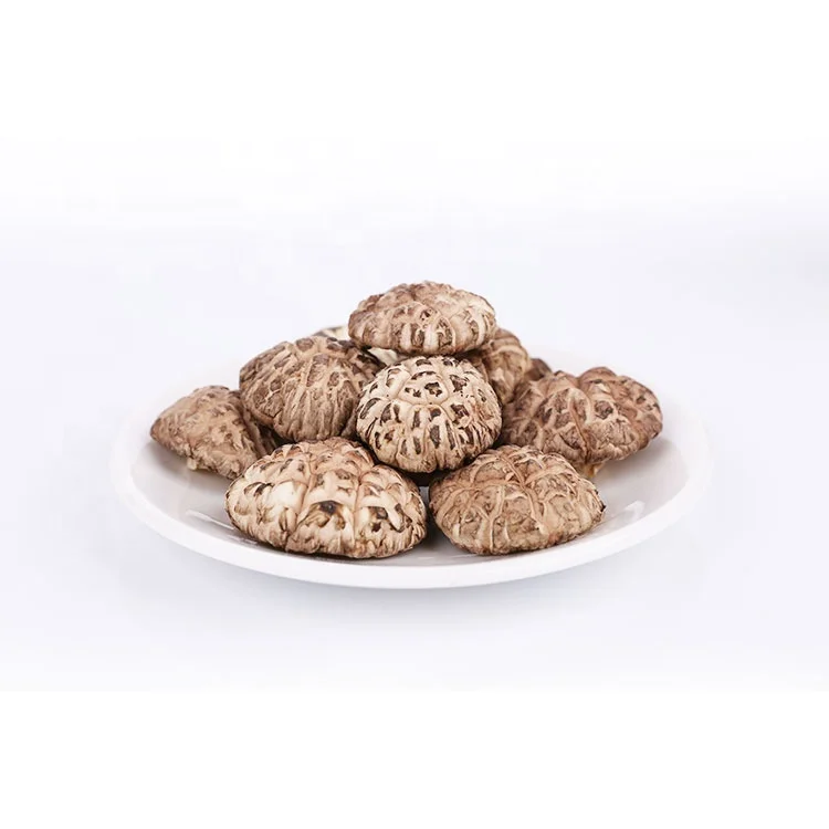 Горячая Распродажа, сушеный цветок высшего уровня Shiitake, ферма грибов