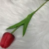 Rouge foncé