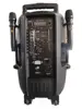 1 Altavoz y 2 UHF
