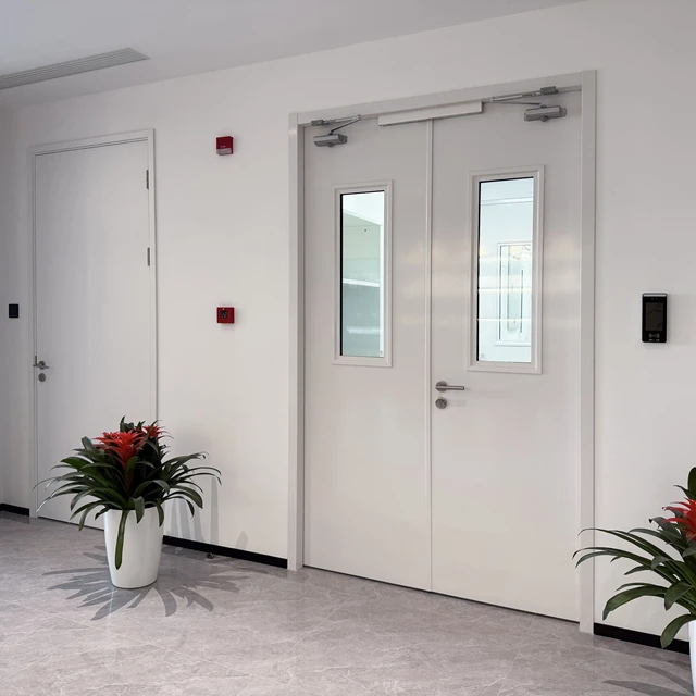 3H UL Luxury Modern Style Premium Steel Fire Door for Outdoor Exterior for Apartment Hotels and Entry Use