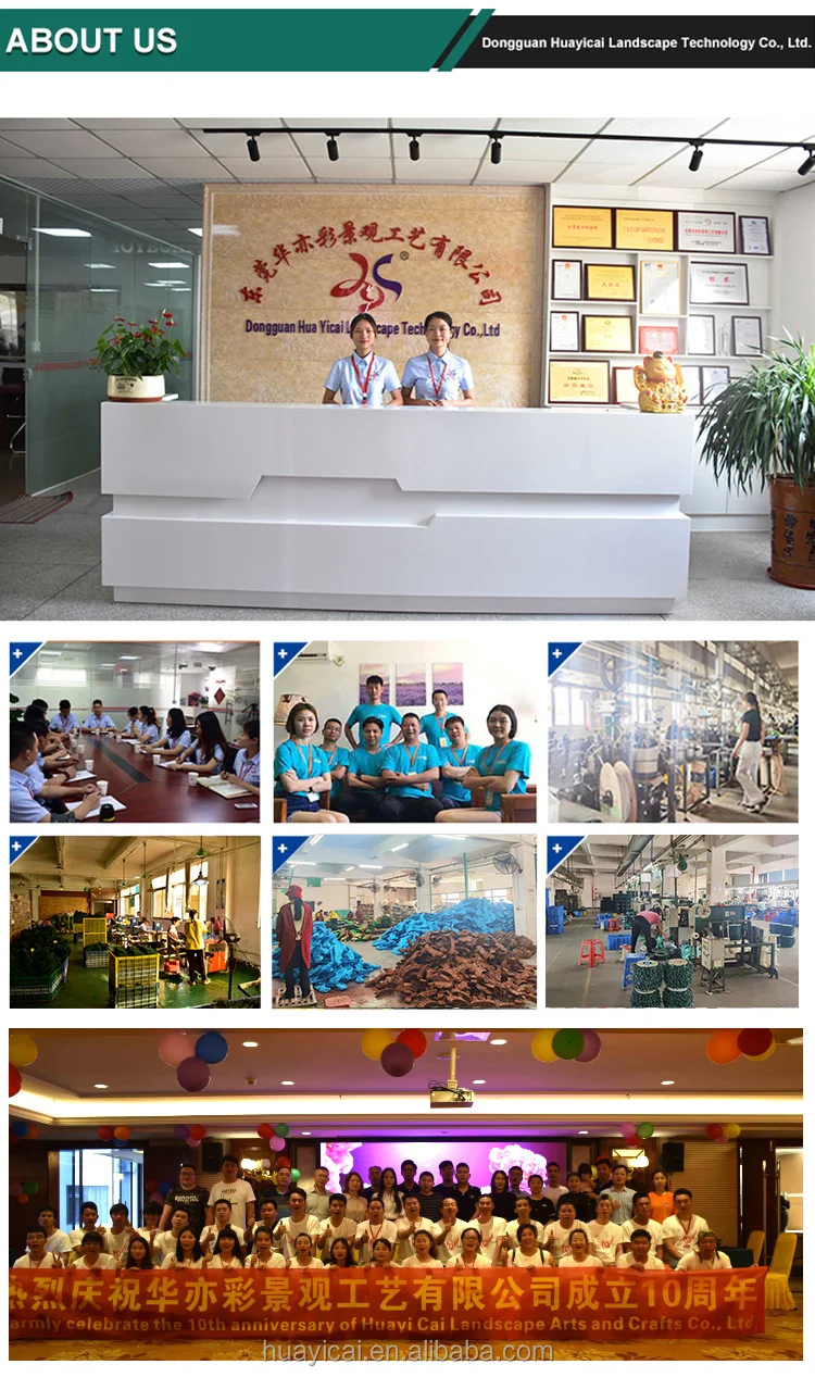 hoyechi company profile hoyechi company profile