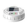 White Solar Version