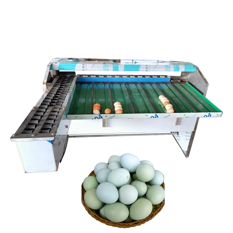Egg Grader Cost Egg Grading Machine Price Egg Grader