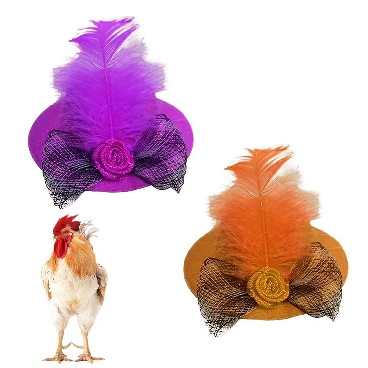 hats for chickens for sale