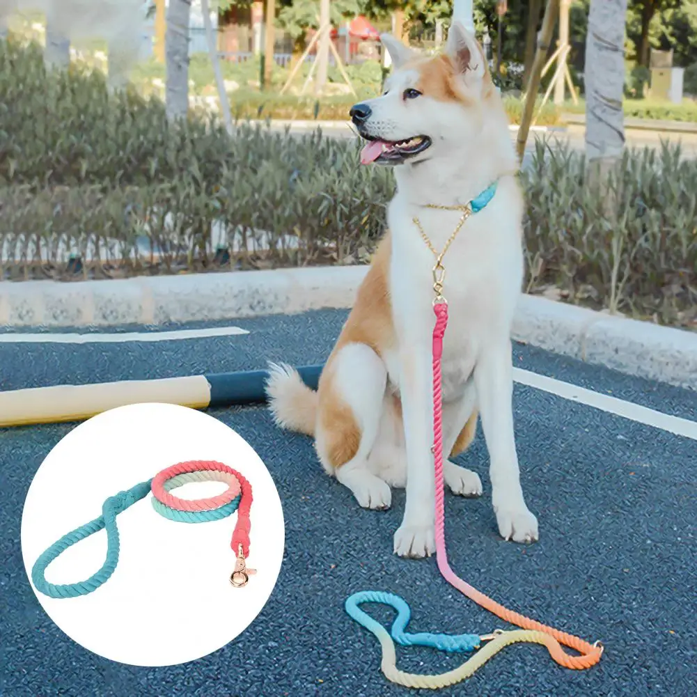 long outside dog leash