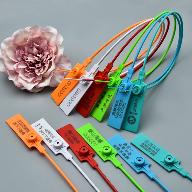 Clothing Brand Label Custom Logo Plastic Hang Tags Anti-Theft Disposable Seal Tag for Garment Jewelry Gift Watch