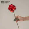 One large red Greek rose with 6 heads