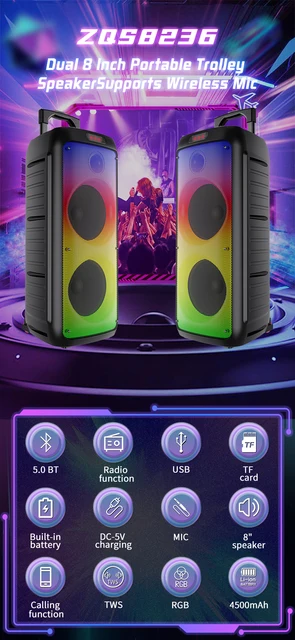 ワイヤレス Bluetooth ポータブルスピーカー 8インチ】 最大出力300