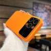 Orange Standard model