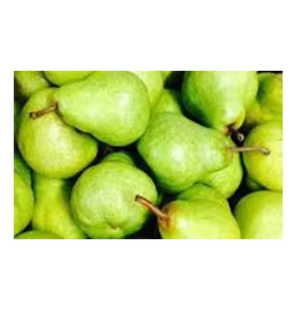 SOUTH AFRICA SUPER QUALITY FRESH PACKHAM TRIUMPH PEARS FOR WHOLESALE