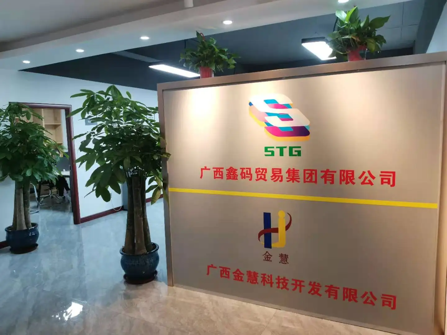 Guangxi Xinma Trading Ltd.
