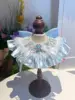 Rondine blu nebbiosa