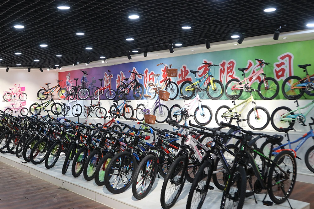 Hebei Xinyang Bicycle Co., Ltd. 2