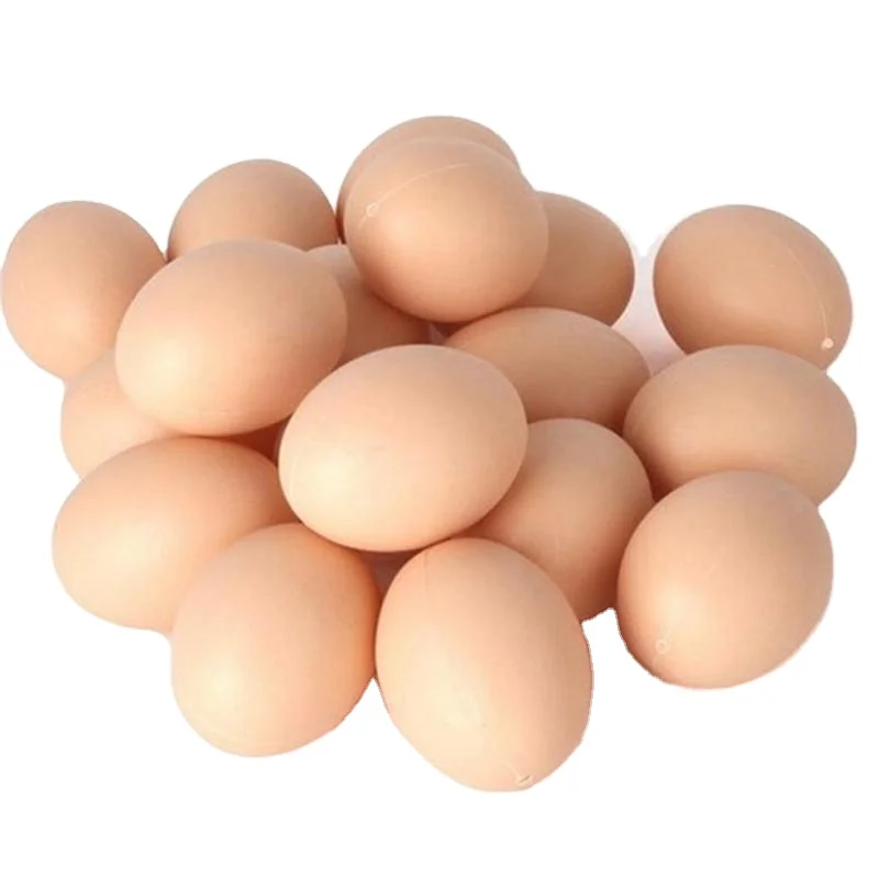 fresh finch eggs for sale