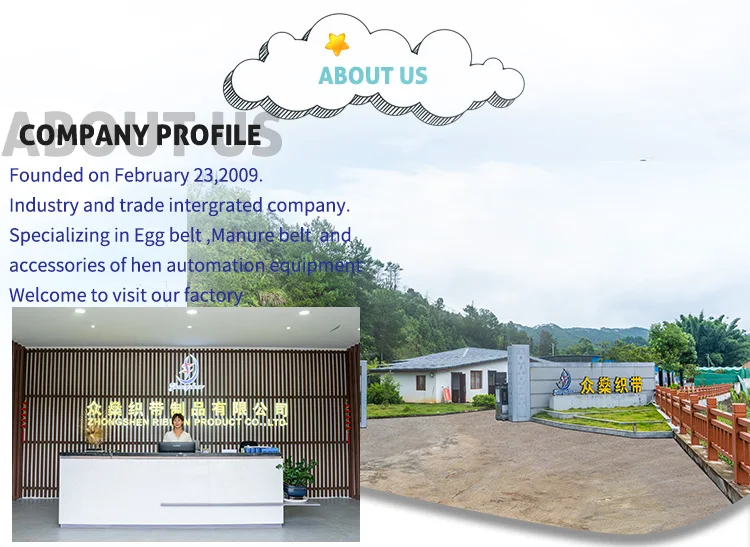 Egg Conveyor Belt /egg Collecting Belt Of Polypropylene For Conveying