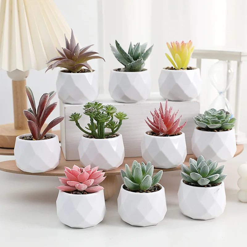small decorative plant pots Birch Pot Large Size main image 0