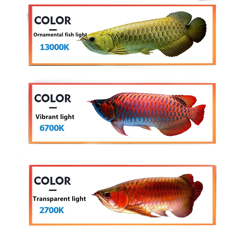 ZAOHETIAN Led T8 Aquarium Light - 13000k Arowana Tanning