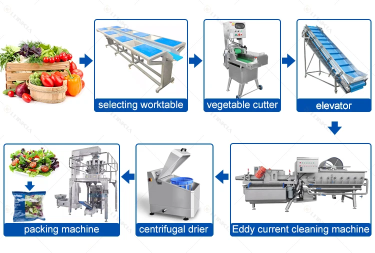 Salad Vortex Cleaning Machine supplier