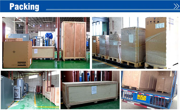 PSA Nitrogen Generator Low Energy Consumption Industry Nitrogen Gas Plant N2 Generator