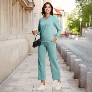 High Quality Women's Workout Gym Fitness Sets Crew Neck Solid Color Regular Long Sleeve Pullover Four-Way Stretch Breathable