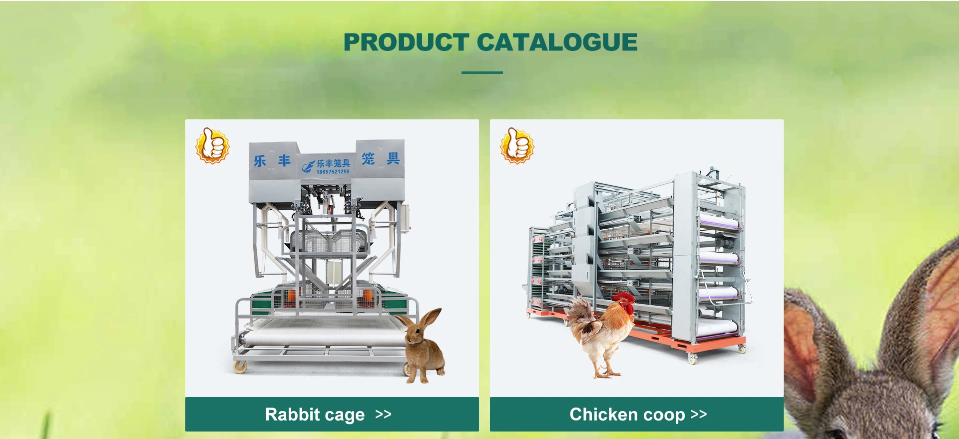 Shaoxing Lefeng Cage Equipment Co., Ltd. Rabbit Cage, Chicken Cage