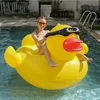 Gafas pato-17014593cm-figura