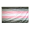Bandera de Demigirl