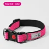 Double D-clasp, rose red single neck braid